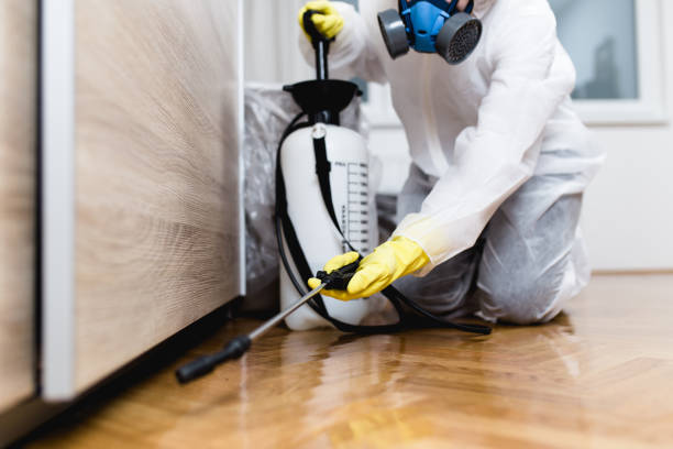 Best Residential Pest Control  in Valley Falls, SC