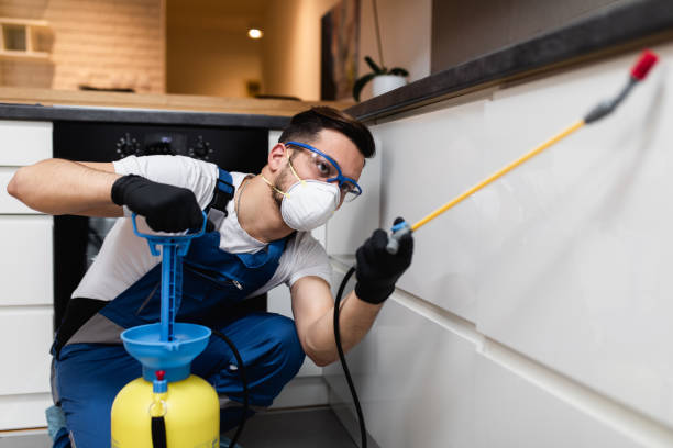 Best Affordable Pest Control Services  in Valley Falls, SC