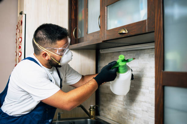 Best Affordable Pest Control Services  in Valley Falls, SC