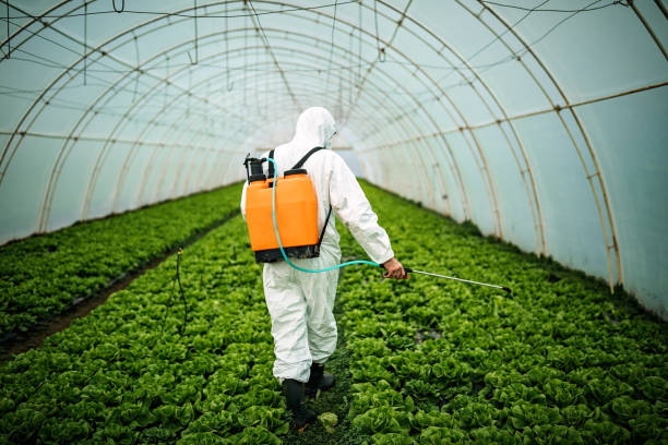 Best Mosquito Control Services  in Valley Falls, SC