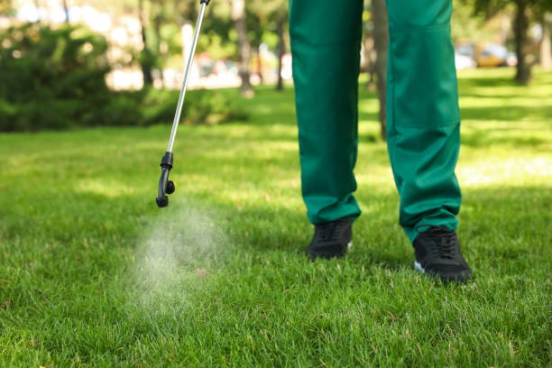 Best Bed Bug Extermination  in Valley Falls, SC
