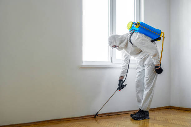 Best Residential Pest Control  in Valley Falls, SC