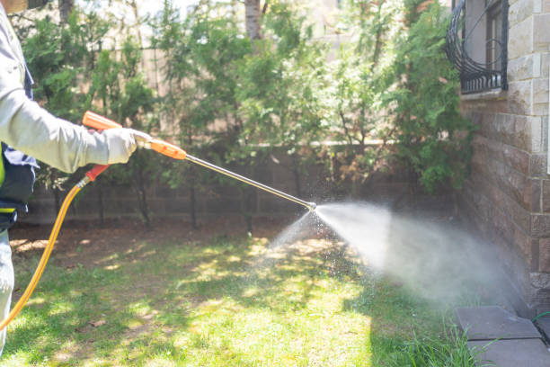 Best Wasp Removal Services  in Valley Falls, SC